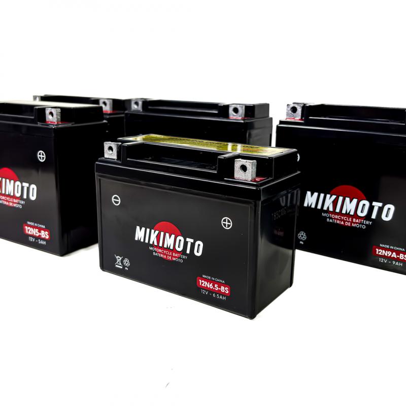 BATERIA DE MOTO YT12B-BS YAMAHA FAZER 600 TDM900 DRAGSTAR 12V10AH