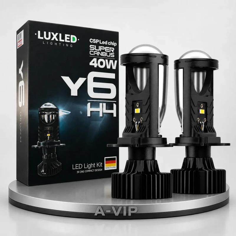 Y6-H4