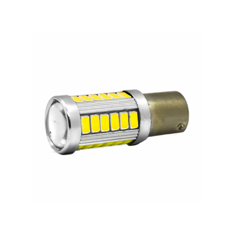 LED 1034 2 POLOS CANBUS SUPER BRILLO 12/24 V